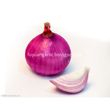 Export Standard Quality of Fresh Red Onion